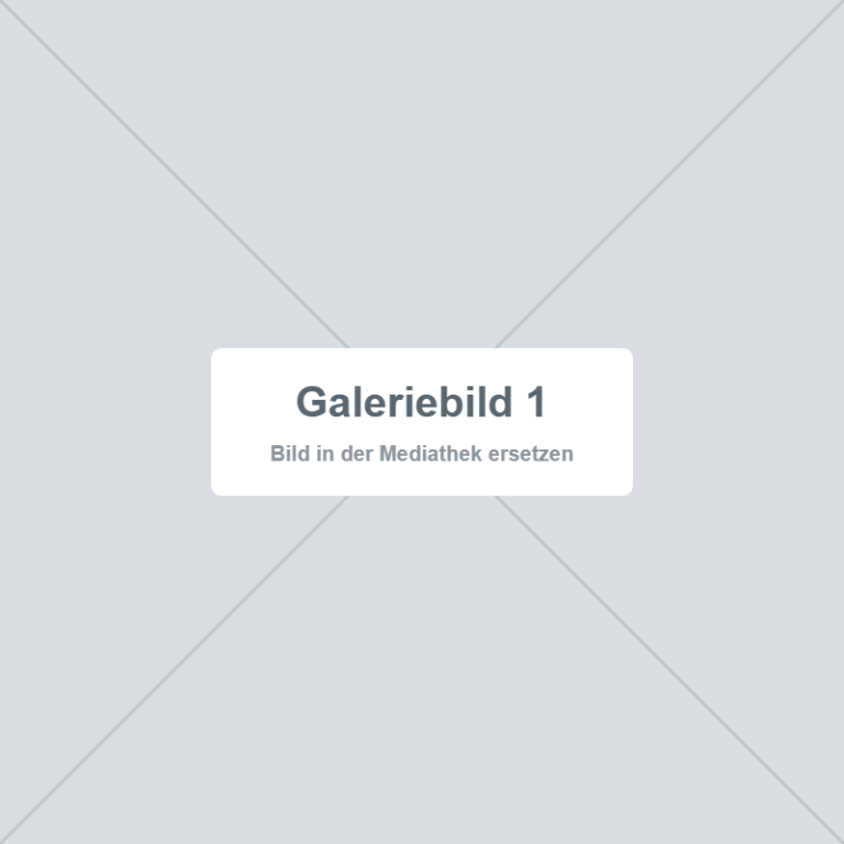 Platzhalter – Galeriebild 1