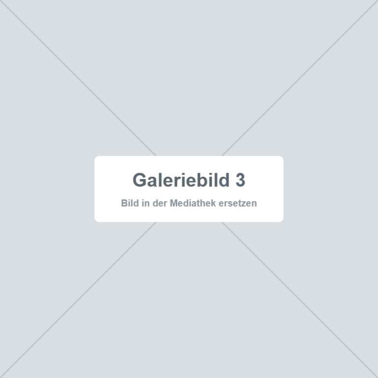 Platzhalter – Galeriebild 3