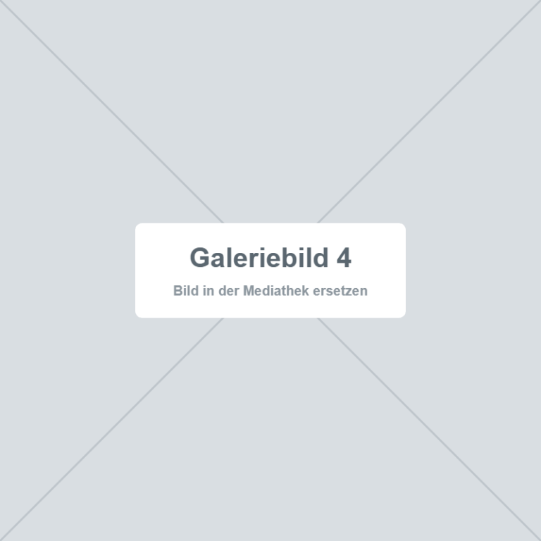 Platzhalter – Galeriebild 4