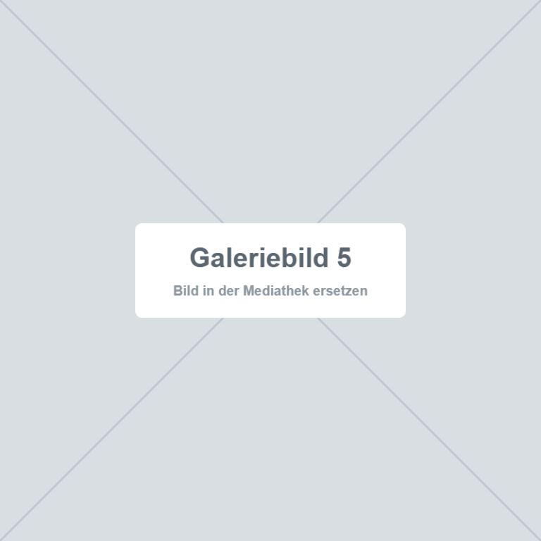 Platzhalter – Galeriebild 5